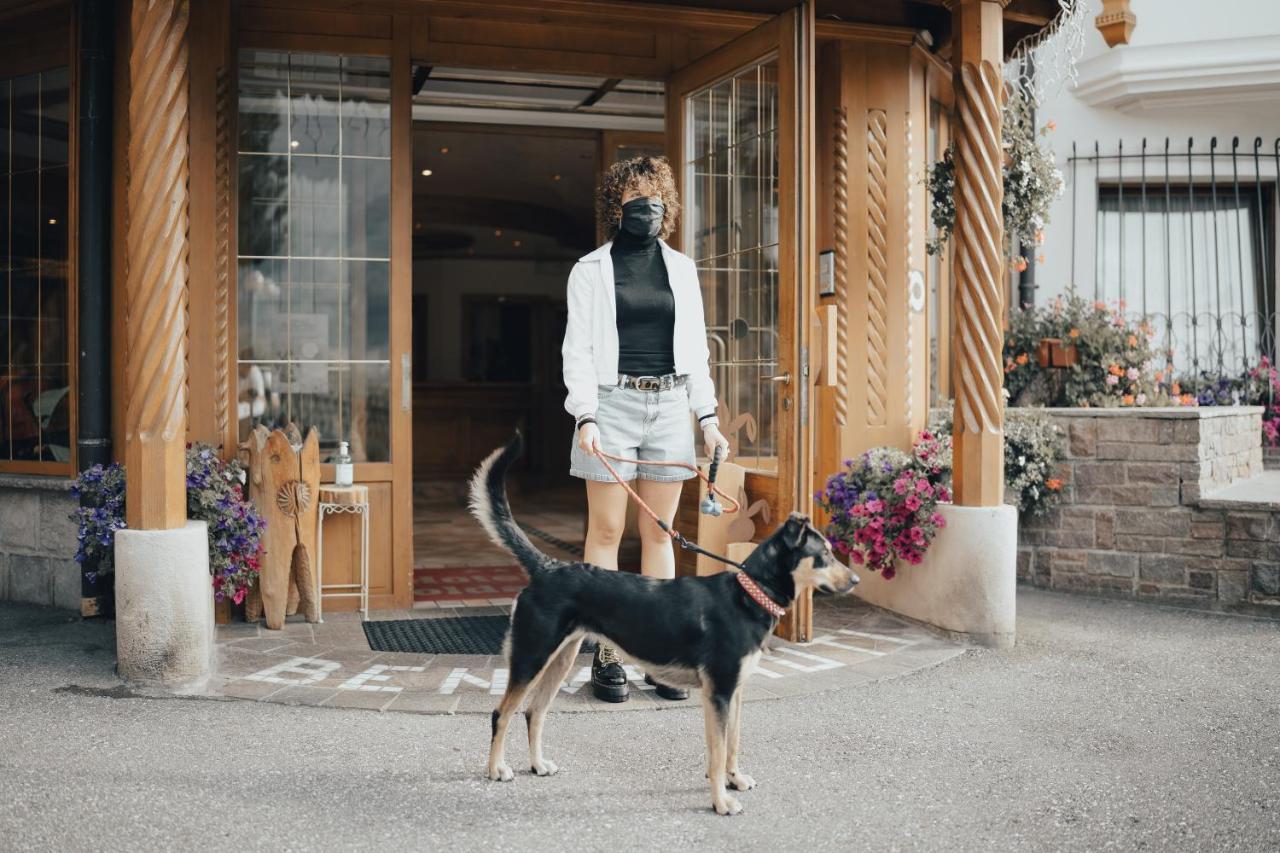 Hotel La Soldanella モエナ エクステリア 写真